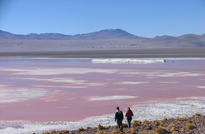 Chili Noordelijke meren en Patagonië rondreis Afbeelding