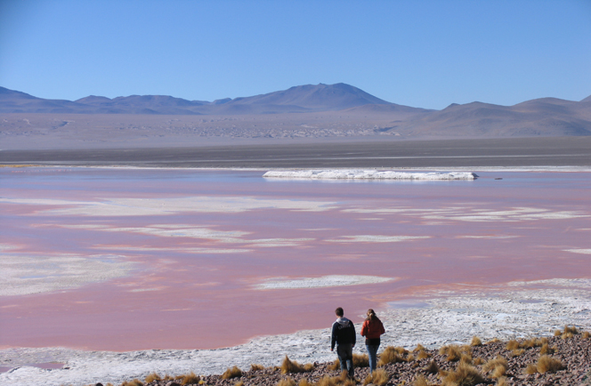 Noord Chili Bolivia en Argentinie rondreis 0